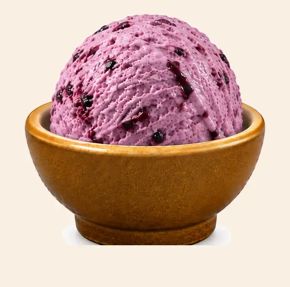 Black Currant — Mewadi Premium Ice-Cream